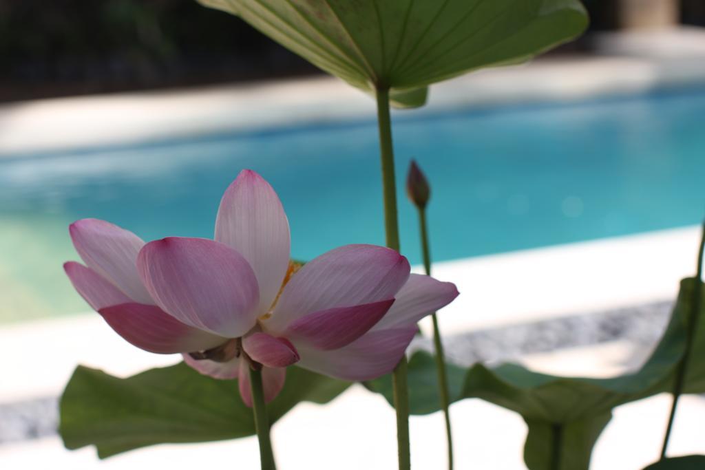Villa Alu Lima Seminyak Zimmer foto